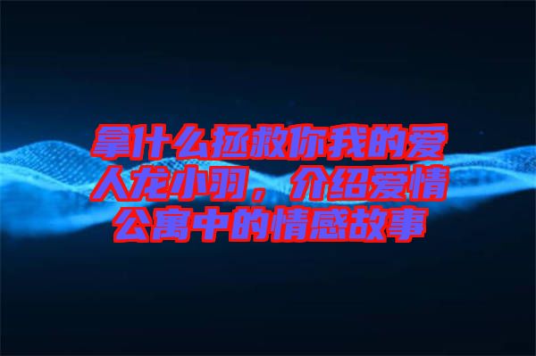 拿什么拯救你我的愛(ài)人龍小羽，介紹愛(ài)情公寓中的情感故事