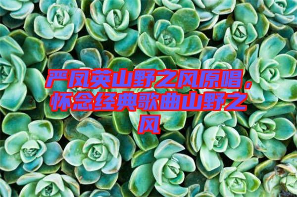 嚴鳳英山野之風(fēng)原唱，懷念經(jīng)典歌曲山野之風(fēng)