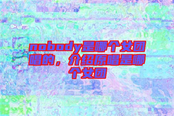 nobody是哪個女團唱的，介紹原唱是哪個女團