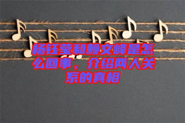 楊鈺瑩和賴文峰是怎么回事，介紹兩人關(guān)系的真相