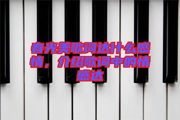 春光美歌詞達什么感情，介紹歌詞中的情感達