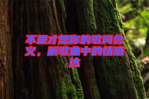 不是才想你的歌詞含義，解歌曲中的情感達