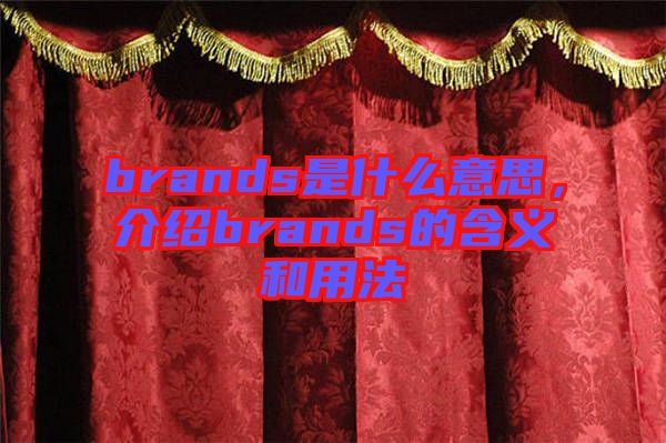 brands是什么意思，介紹brands的含義和用法