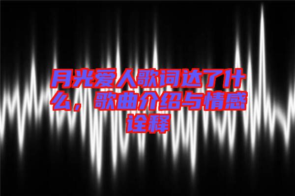 月光愛人歌詞達(dá)了什么，歌曲介紹與情感詮釋