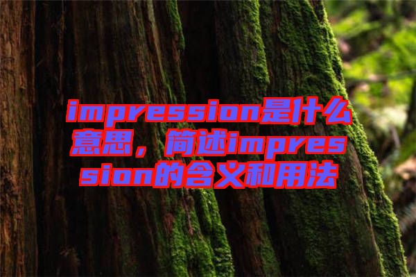 impression是什么意思，簡述impression的含義和用法