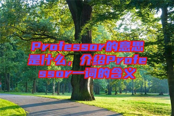 Professor的意思是什么，介紹Professor一詞的含義