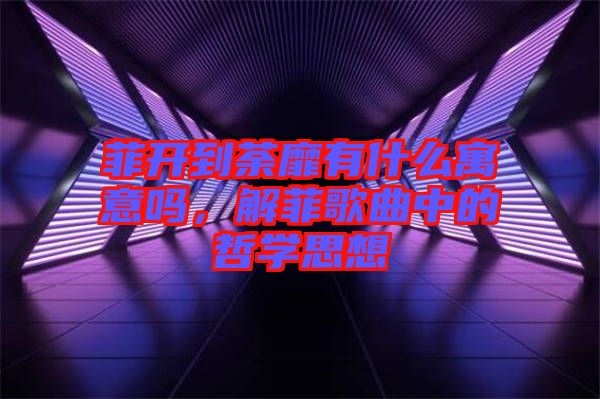 菲開到荼靡有什么寓意嗎，解菲歌曲中的哲學(xué)思想