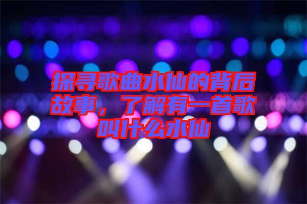 探尋歌曲水仙的背后故事，了解有一首歌叫什么水仙