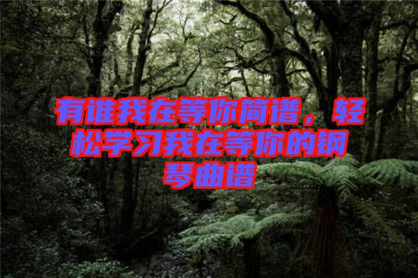 有誰(shuí)我在等你簡(jiǎn)譜，輕松學(xué)習(xí)我在等你的鋼琴曲譜