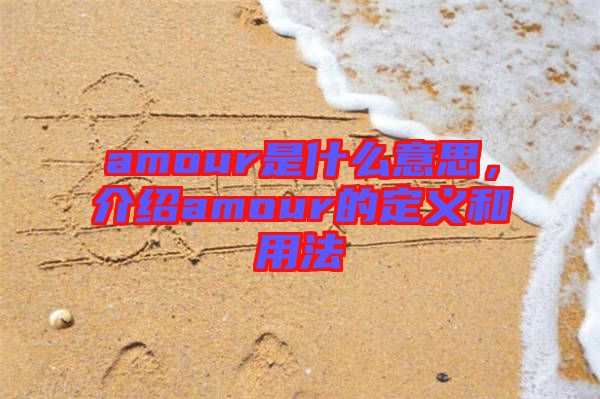 amour是什么意思，介紹amour的定義和用法