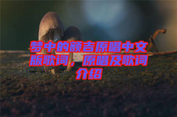 夢(mèng)中的額吉原唱中文版歌詞，原唱及歌詞介紹