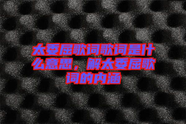 太委屈歌詞歌詞是什么意思，解太委屈歌詞的內(nèi)涵