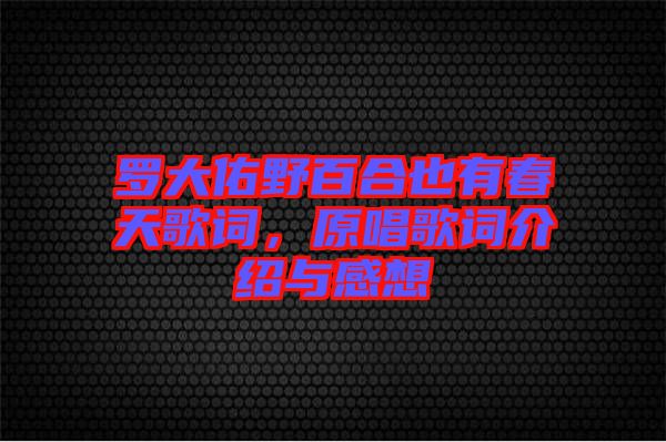 羅大佑野百合也有春天歌詞，原唱歌詞介紹與感想