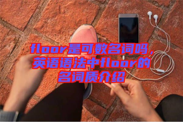 floor是可數(shù)名詞嗎，英語語法中floor的名詞質(zhì)介紹