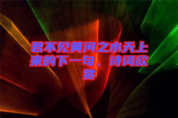 君不見黃河之水天上來(lái)的下一句，詩(shī)詞欣賞