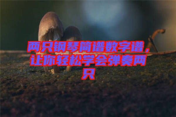 兩只鋼琴簡(jiǎn)譜數(shù)字譜，讓你輕松學(xué)會(huì)彈奏兩只