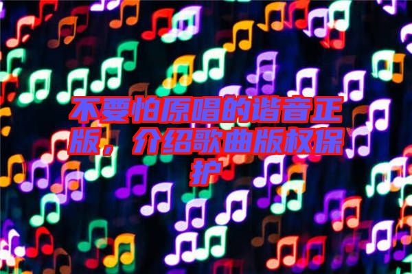 不要怕原唱的諧音正版，介紹歌曲版權(quán)保護(hù)