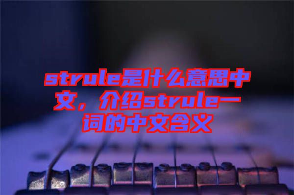 strule是什么意思中文，介紹strule一詞的中文含義