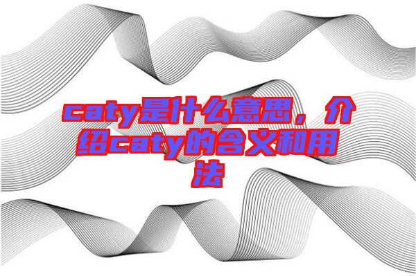 caty是什么意思，介紹caty的含義和用法