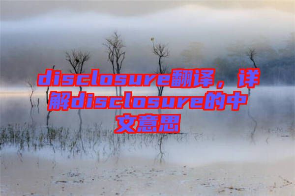 disclosure翻譯，詳解disclosure的中文意思