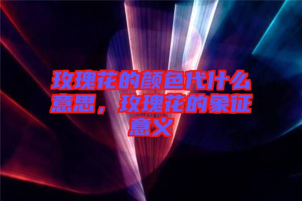 玫瑰花的顏色代什么意思，玫瑰花的象征意義