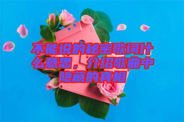 不能說(shuō)的秘密歌詞什么意思，介紹歌曲中隱藏的真相