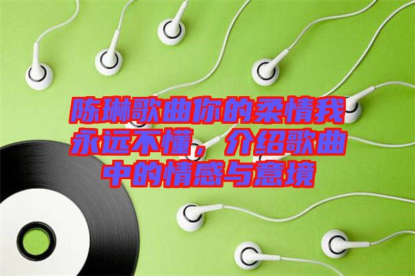 陳琳歌曲你的柔情我永遠(yuǎn)不懂，介紹歌曲中的情感與意境