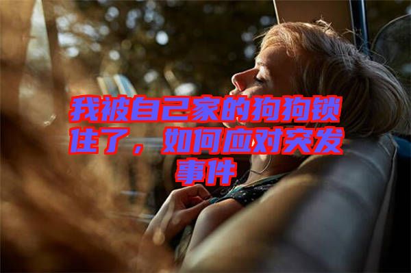 我被自己家的狗狗鎖住了，如何應(yīng)對(duì)突發(fā)事件