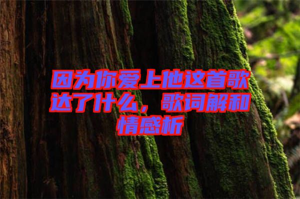 因?yàn)槟銗?ài)上他這首歌達(dá)了什么，歌詞解和情感析