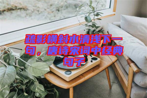 疏影橫斜水清淺下一句，唐詩(shī)宋詞中經(jīng)典句子