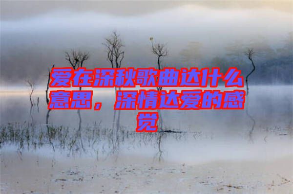 愛在深秋歌曲達(dá)什么意思，深情達(dá)愛的感覺