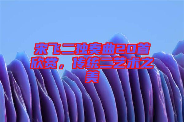 宋飛二獨奏曲20首欣賞，傳統(tǒng)二藝術之美