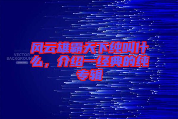 風(fēng)云雄霸天下純叫什么，介紹一經(jīng)典的純專輯