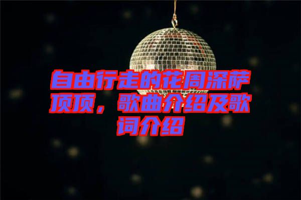 自由行走的花周深薩頂頂，歌曲介紹及歌詞介紹