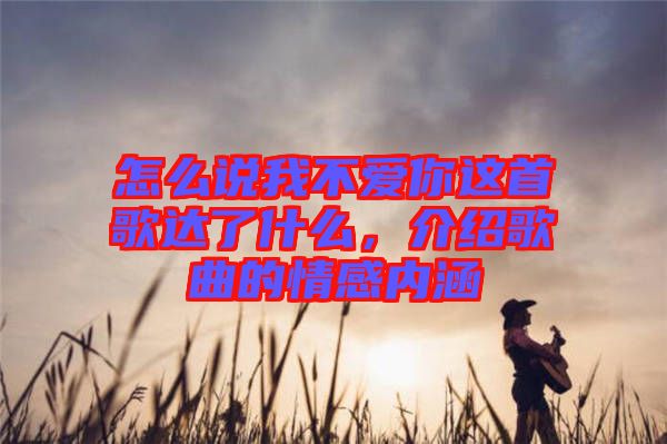 怎么說我不愛你這首歌達了什么，介紹歌曲的情感內(nèi)涵