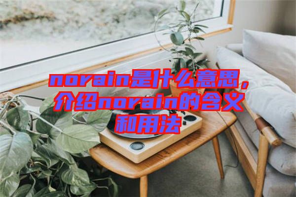 norain是什么意思，介紹norain的含義和用法