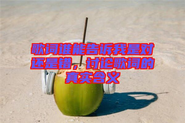 歌詞誰能告訴我是對還是錯，討論歌詞的真實含義