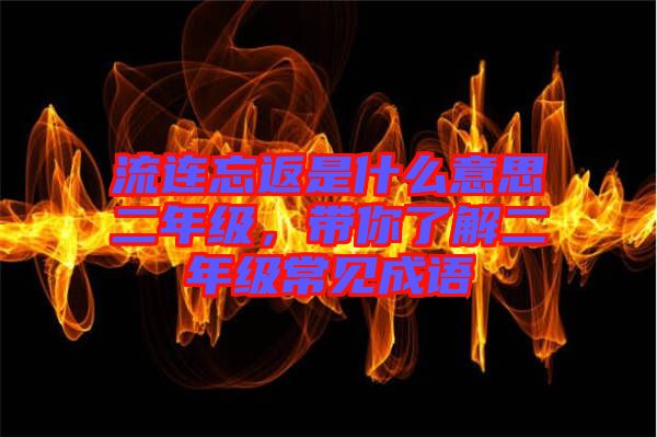 流連忘返是什么意思二年級，帶你了解二年級常見成語