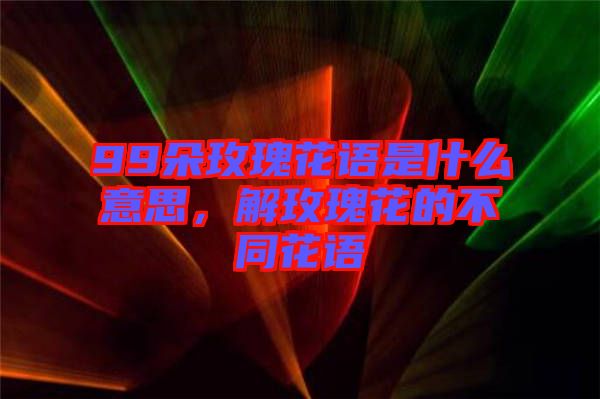 99朵玫瑰花語是什么意思，解玫瑰花的不同花語