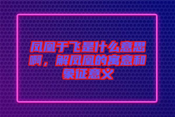 鳳凰于飛是什么意思啊，解鳳凰的寓意和象征意義