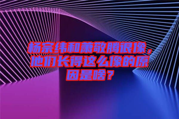 楊宗緯和蕭敬騰很像，他們長(zhǎng)得這么像的原因是啥？