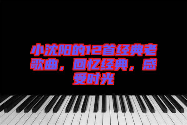 小沈陽的12首經(jīng)典老歌曲，回憶經(jīng)典，感受時光