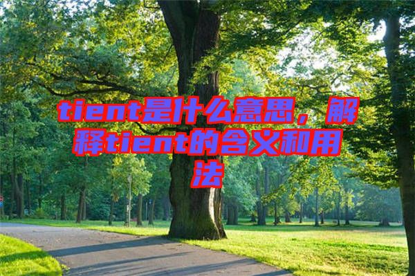 tient是什么意思，解釋tient的含義和用法