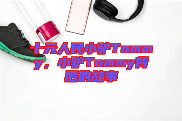 十元人民小驢Tommy，小驢Tommy背后的故事