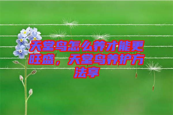 天堂鳥(niǎo)怎么養(yǎng)才能更旺盛，天堂鳥(niǎo)養(yǎng)護(hù)方法享