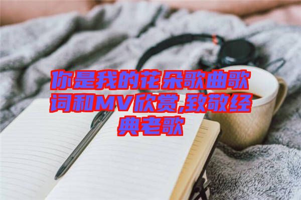 你是我的花朵歌曲歌詞和MV欣賞,致敬經(jīng)典老歌