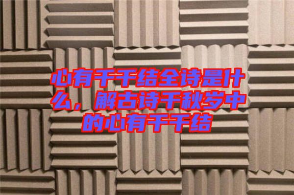 心有千千結(jié)全詩(shī)是什么，解古詩(shī)千秋歲中的心有千千結(jié)