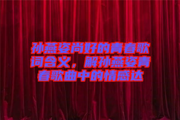 孫燕姿尚好的青春歌詞含義，解孫燕姿青春歌曲中的情感達(dá)