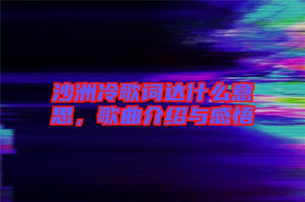 沙洲冷歌詞達(dá)什么意思，歌曲介紹與感悟