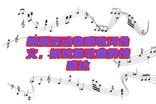 相愛后動物感歌詞含義，解這首歌曲的情感達(dá)